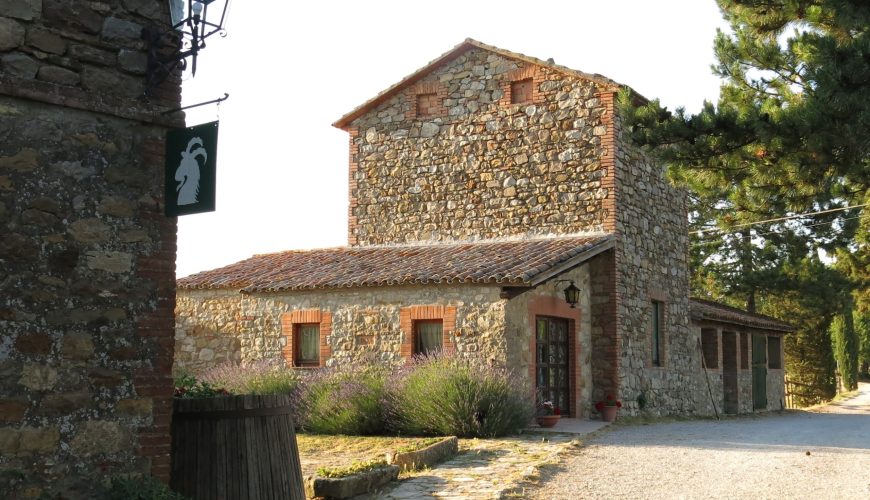 Vivi esperienze uniche con un click